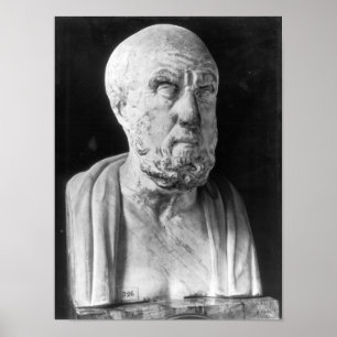 Pôster Busto de Hippocrates