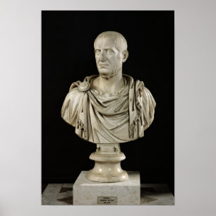 Pôster Busto de Marcus Claudius Tacitus
