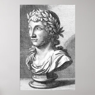 Pôster Busto de Xenophanes