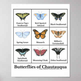 Poster Butterflies of Chautauqua