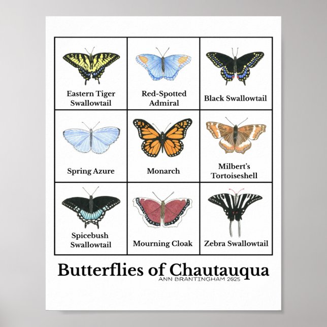 Poster Butterflies of Chautauqua (Frente)