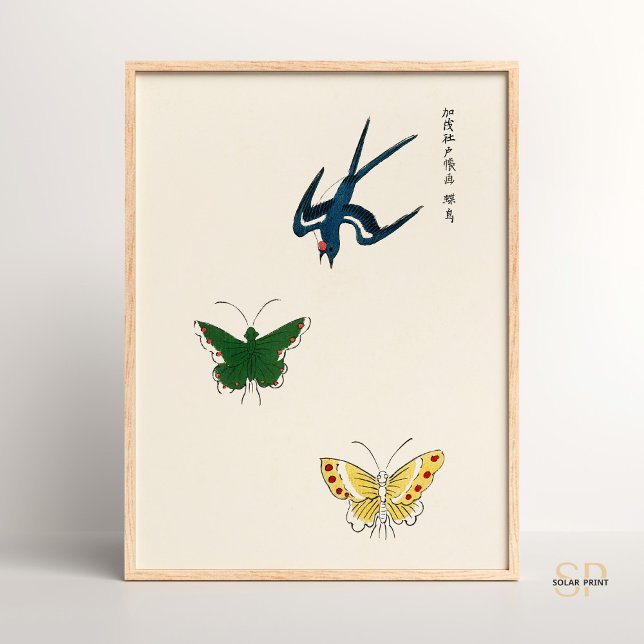 Poster Butterflies Vintage japoneses Yatsuo No Tsubaki (Criador carregado)