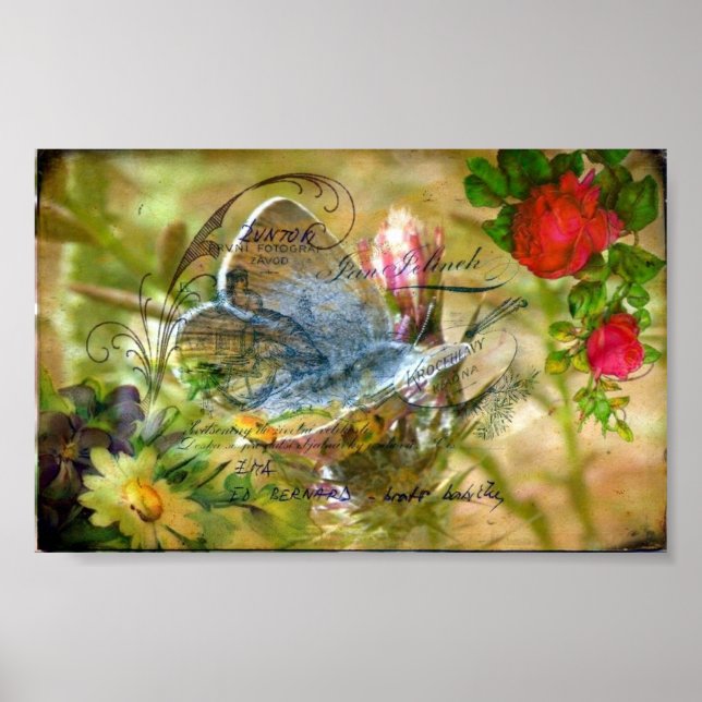 Pôster Butterfly (Frente)