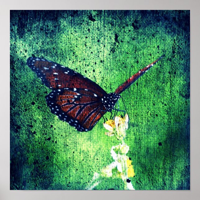 Pôster Butterfly (Frente)
