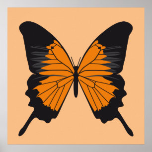 Pôster butterfly1