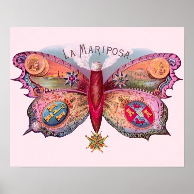 Pôster Butterfly Cigar Antique Painting  (Frente)
