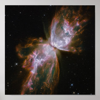 Pôster Butterfly Emerges from Stellar Demise in Planetary