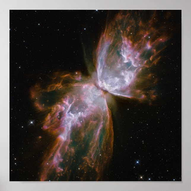 Pôster Butterfly Emerges from Stellar Demise in Planetary (Frente)