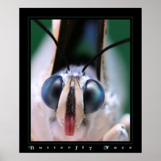Pôster Butterfly Face