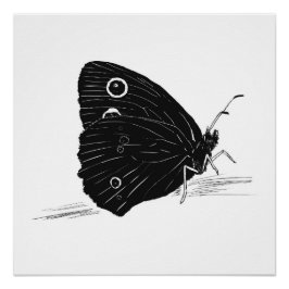 Pôster Butterfly Monochrome Print / Poster