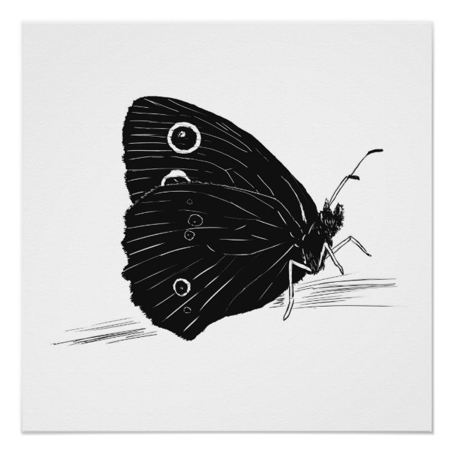 Pôster Butterfly Monochrome Print / Poster (Frente)