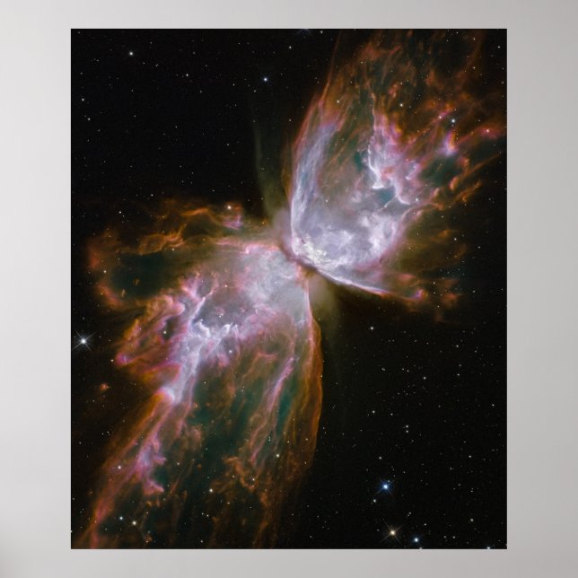 Poster Butterfly Nebula (Frente)