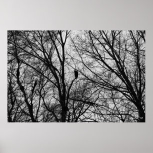 Pôster Buzzard Silhouette