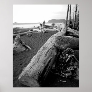 Poster bw driftwood 2