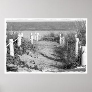 Poster BW Fort Pierce, duna de praia da Flórida saltou