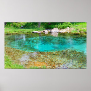 Pôster Byrds Mill Primavera - Cor saturada