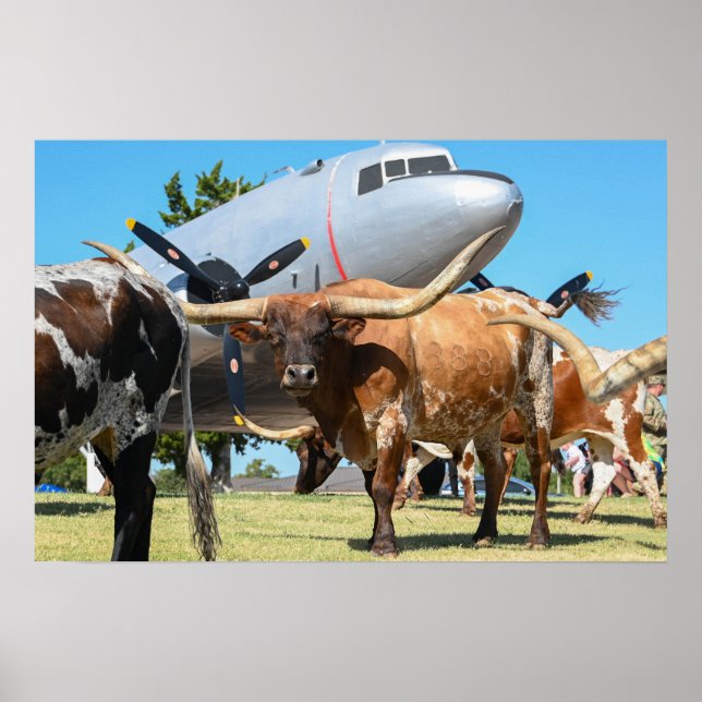 Poster C-47 Skytrem no Texas (Frente)