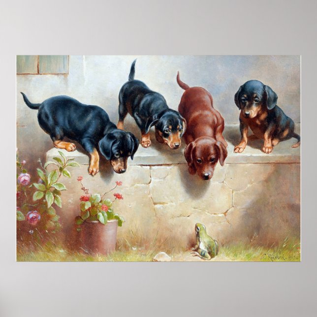 Poster C. Reichert Pintar Puppies e Sapos de Dachshund (Frente)