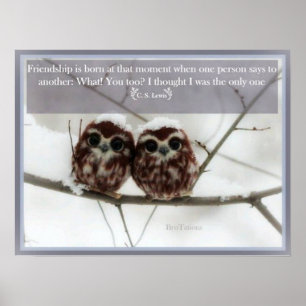 Poster C.S. Lewis e as corujas