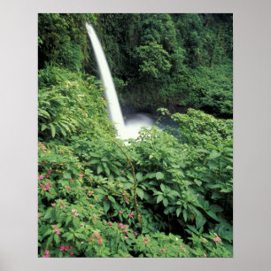 Poster CA, Costa Rica. Cachoeira La Paz e impatientes