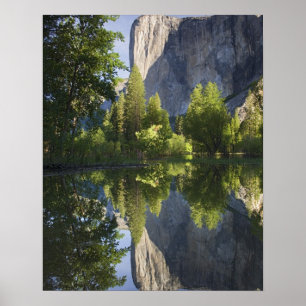 Pôster CA, Parque Nacional de Yosemite, El Capitan reflet