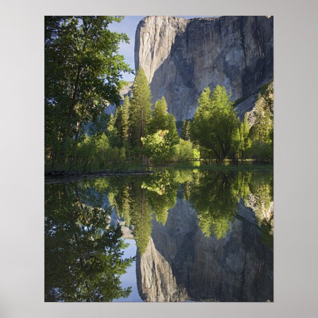 Pôster CA, Parque Nacional de Yosemite, El Capitan reflet (Frente)