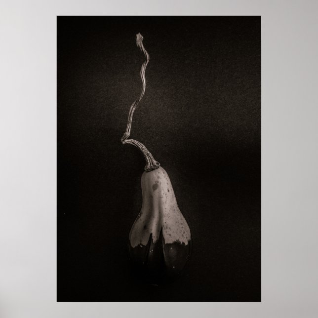 Poster Cabaças Nº 16 (Frente)