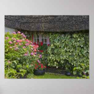 Pôster Cabana de colmo, Adare, Condado de Limerick,