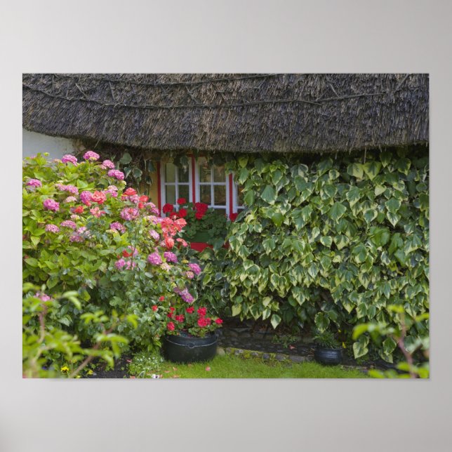 Pôster Cabana de colmo, Adare, Condado de Limerick, (Frente)