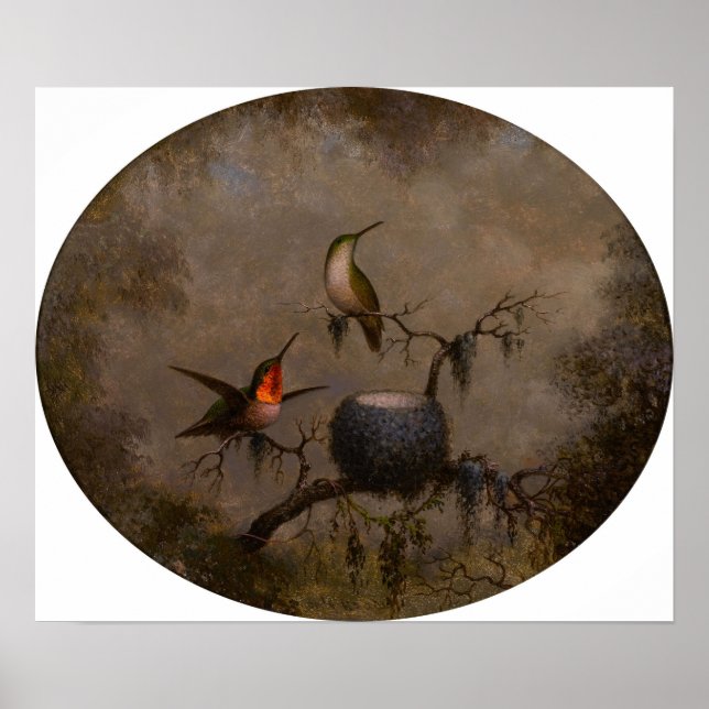 Poster Cabeça - Aves E Seu Ninho 1863 (Frente)