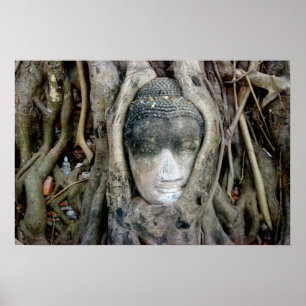 Pôster Cabeça de Buddha