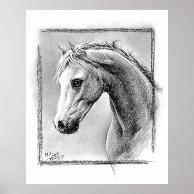 Foto Cabeça de cavalo Desenho de carvão de equinos