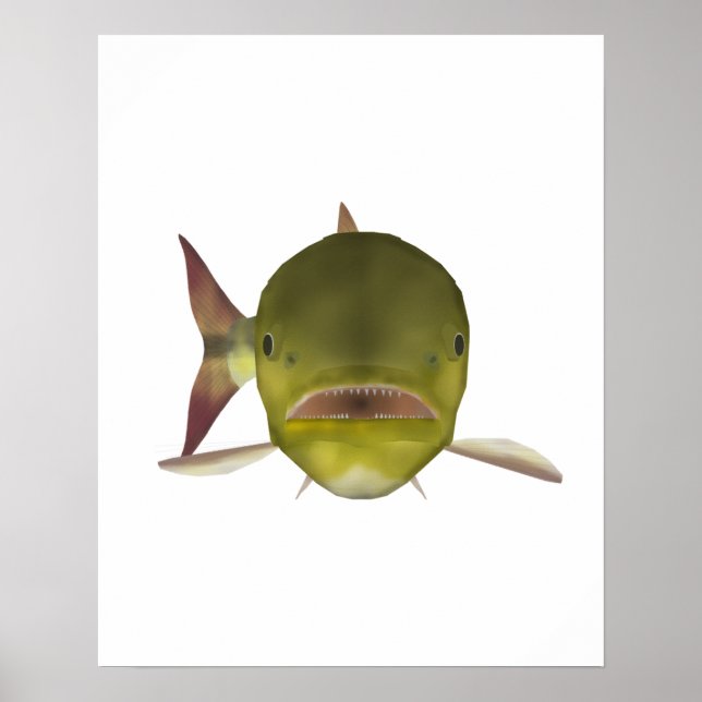 Poster Cabeça de Dourado Dorado (Frente)
