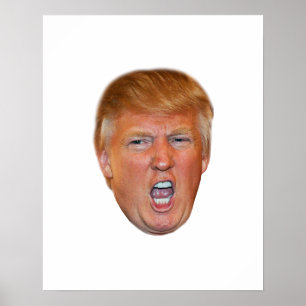 Pôster Cabeça de flutuação de Donald Trump