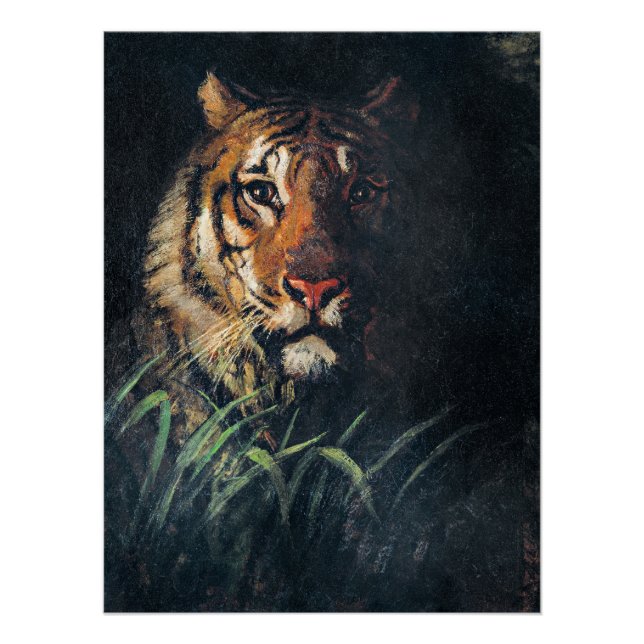 Pôster Cabeça de Tiger, pintura de arte, (Frente)