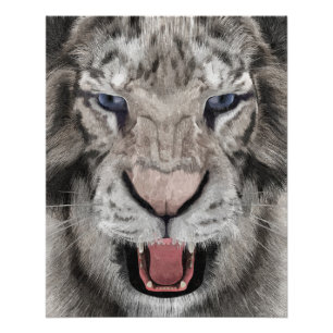 Pôster Cabeça de Tigre Branco Estética da Vida Selvagem