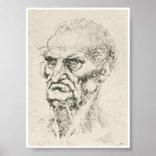 Poster Cabeça de um ancião, Leonardo da Vinci