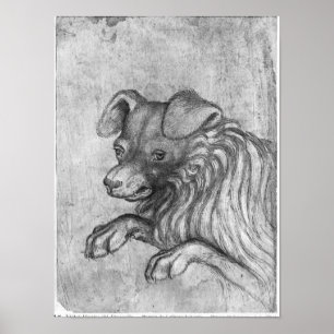 Pôster Cabeça de um cão, o do álbum de Vallardi