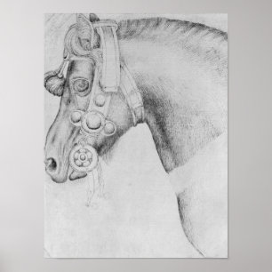 Pôster Cabeça de um cavalo, o do álbum de Vallardi
