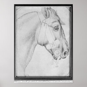 Pôster Cabeça de um cavalo, o do álbum de Vallardi