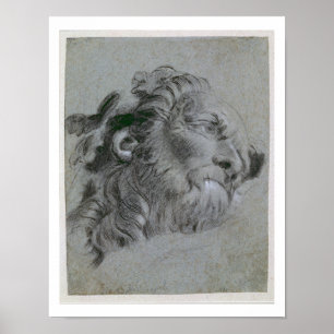 Pôster Cabeça de um Rio-Deus, c.1751 (heightene preto do