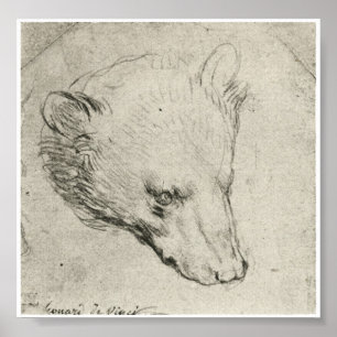 Pôster Cabeça de um urso, Leonardo da Vinci