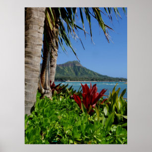 Poster Cabeça do diamante, Honolulu, Havaí