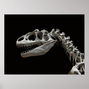 Poster Cabeça e pescoço fósseis do allosaurus
