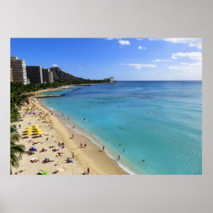 Pôster Cabeça e Waikiki do diamante