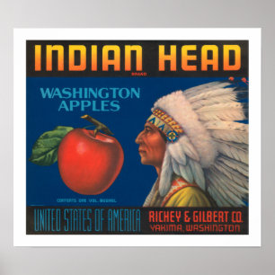 Pôster Cabeça indiana