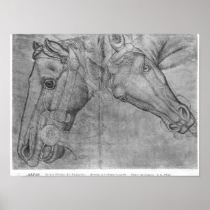 Pôster Cabeças de cavalos, do Álbum de The Vallardi