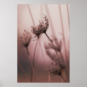 Poster Cabeças de Sementes de Flores Silvestres com Luz S