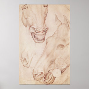 Pôster Cabeças dos cavalos, do álbum de Vallardi