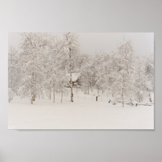 Pôster Cabina de inverno (Frente)